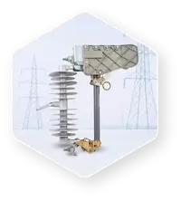 Vina Electric Corporation