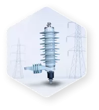 Vina Electric Corporation