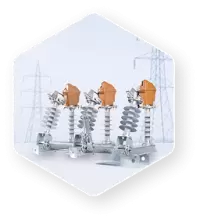 Vina Electric Corporation