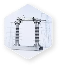 Vina Electric Corporation