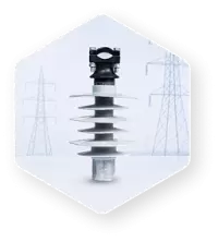 Vina Electric Corporation